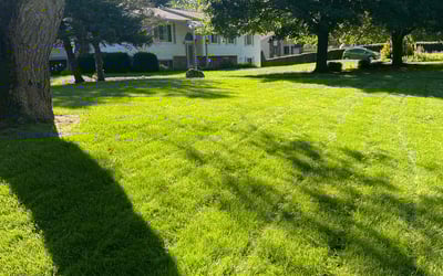 Photo of Brian R.'s yard after getting lawn care in Mount Clemens, MI