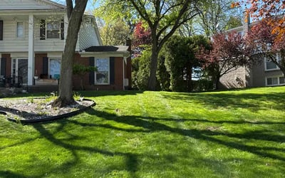 Photo of Eric W.'s yard after getting lawn care in Chesapeake, VA