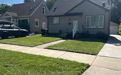 Photo of Cheryl E.'s yard after getting lawn care in Dundalk, MD