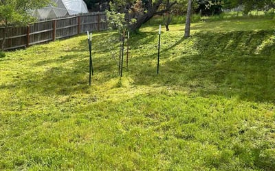 Photo of Hyeonsup L.'s yard after getting lawn care in Ashland, OR