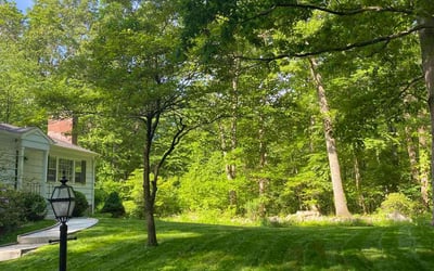 Photo of Bradley N.'s yard after getting lawn care in New Canaan, CT