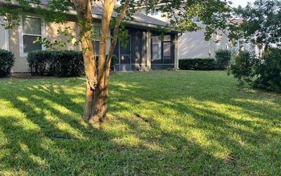 Photo of Eddie H.'s yard after getting lawn care in Hawley, PA