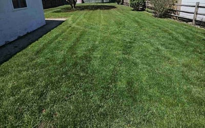 Photo of Netzach R.'s yard after getting lawn care in Toledo, OH