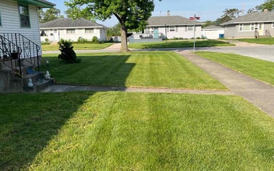 Photo of Courtney M.'s yard after getting lawn care in Highland, IN
