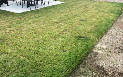 Photo of Anthony H.'s yard after getting lawn care in Winchester, CA