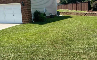Photo of Michael S.'s yard after getting lawn care in Four Oaks, NC