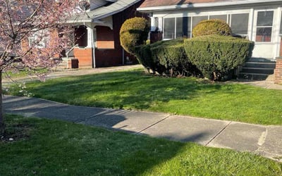 Photo of Kelsey H.'s yard after getting lawn care in Cortland, OH