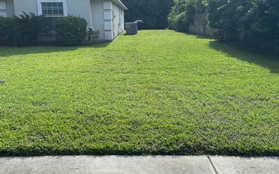 Photo of Tasha N.'s yard after getting lawn care in Yulee, FL