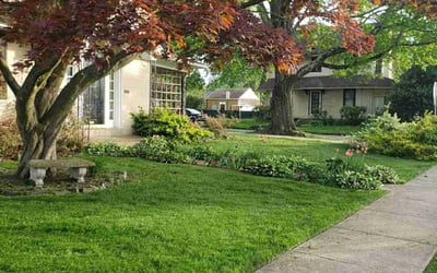 Photo of Rob M.'s yard after getting lawn care in Havertown, PA
