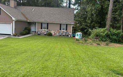 Photo of Debbie A.'s yard after getting lawn care in Vallejo, CA
