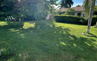 Photo of Amanda G.'s yard after getting lawn care in Naples, FL