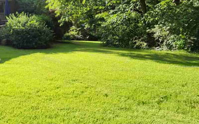 Photo of Adrian C.'s yard after getting lawn care in Lilburn, GA