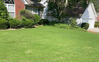 Photo of Brandy G.'s yard after getting lawn care in New Port Richey, FL