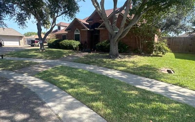 Photo of Anthony T.'s yard after getting lawn care in Corpus Christi, TX