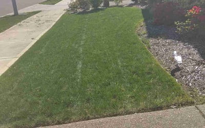 Photo of Trudy C.'s yard after getting lawn care in Clackamas, OR