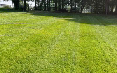 Photo of Earle T.'s yard after getting lawn care in Rockwood, TN