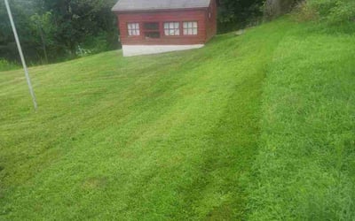Photo of Lucille H.'s yard after getting lawn care in Seymour, CT
