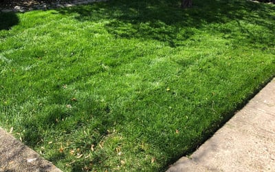 Photo of Aaron M.'s yard after getting lawn care in Front Royal, VA