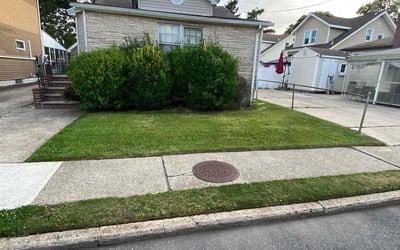 Photo of Joseph M.'s yard after getting lawn care in Valley Stream, NY