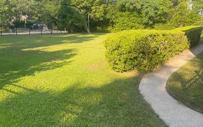 Photo of Tim S.'s yard after getting lawn care in Henrico, VA