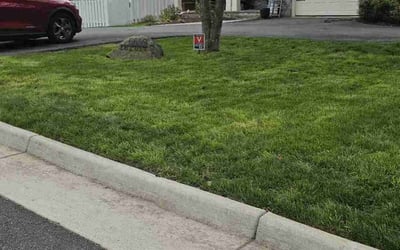 Photo of Marin M.'s yard after getting lawn care in Falls Church, VA