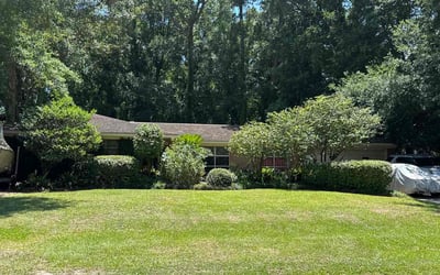 Photo of Chiya D.'s yard after getting lawn care in Leesburg, FL