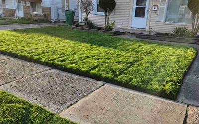 Photo of John J.'s yard after getting lawn care in Eastpointe, MI