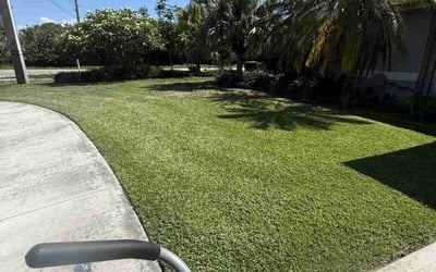 Photo of Donell Q.'s yard after getting lawn care in Jasper, GA