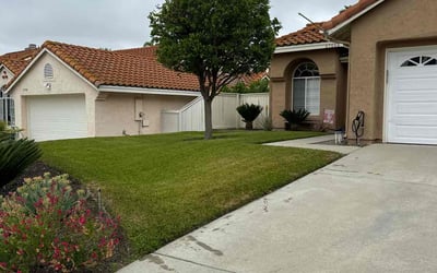 Photo of shaine F.'s yard after getting lawn care in Temecula, CA