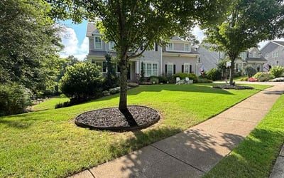 Photo of Mike W.'s yard after getting lawn care in New Lenox, IL