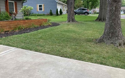 Photo of Penelope B.'s yard after getting lawn care in Nashville, TN