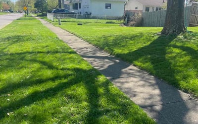 Photo of Erin L.'s yard after getting lawn care in Groveport, OH