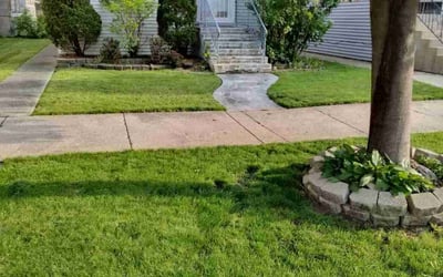 Photo of Tiffini B.'s yard after getting lawn care in Woodridge, IL