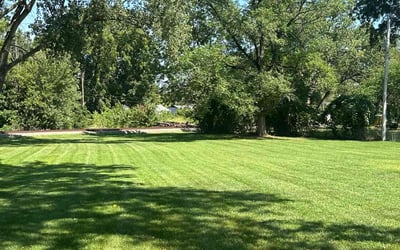 Photo of Mayzella W.'s yard after getting lawn care in Grandview, MO