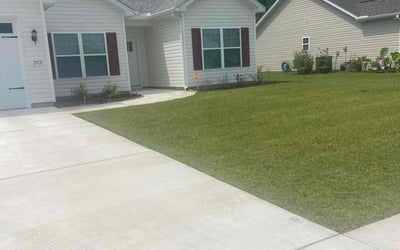 Photo of Cheryl O.'s yard after getting lawn care in Conway, SC
