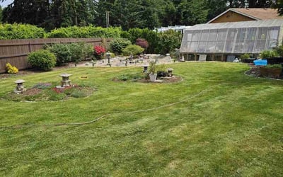 Photo of Ify N.'s yard after getting lawn care in Bonney Lake, WA