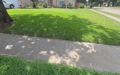 Photo of Jessica V.'s yard after getting lawn care in Gibsonton, FL