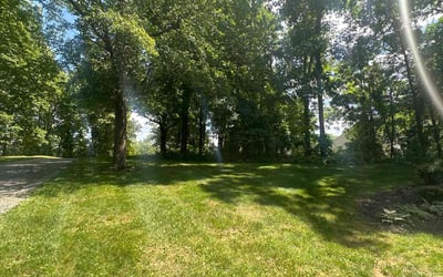 Photo of Yolanda S.'s yard after getting lawn care in Reisterstown, MD