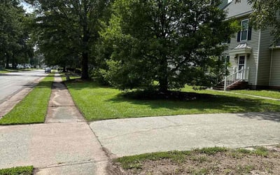 Photo of Nora T.'s yard after getting lawn care in Goldsboro, NC