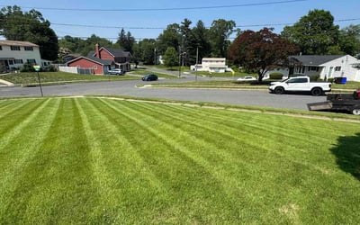 Photo of Lucinda L.'s yard after getting lawn care in Inver Grove Heights, MN