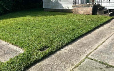 Photo of Jonathan P.'s yard after getting lawn care in Westwego, LA