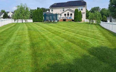 Photo of Marjorie N.'s yard after getting lawn care in Reseda, CA