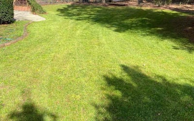 Photo of Cameron F.'s yard after getting lawn care in Davidson, NC