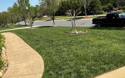Photo of Wilhelemia F.'s yard after getting lawn care in Bessemer City, NC