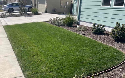 Photo of Tyler m.'s yard after getting lawn care in Sacramento, CA