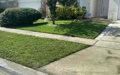 Photo of Brittany L.'s yard after getting lawn care in San Carlos, CA