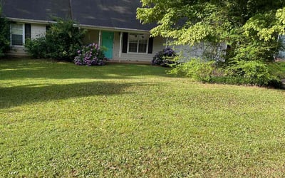 Photo of Yaroslava G.'s yard after getting lawn care in Kyle, TX
