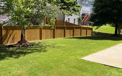 Photo of Jovita K.'s yard after getting lawn care in Jonesborough, TN