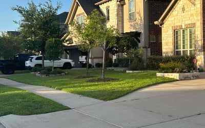 Photo of Tamika S.'s yard after getting lawn care in Wayne, NJ