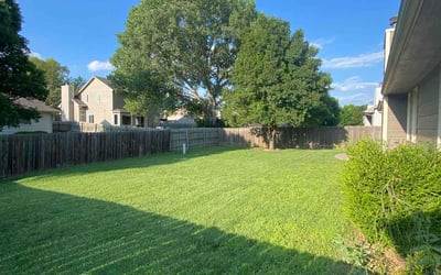 Photo of Zelene D.'s yard after getting lawn care in Newton, KS